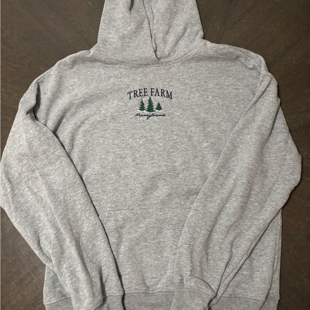 Hollister sweatshirt XXS